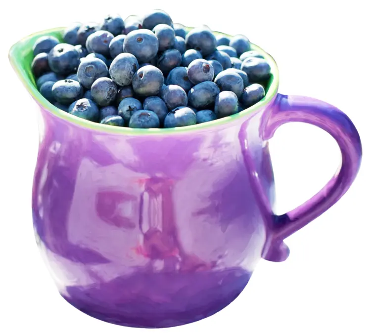 Bowl of Fresh Blueberries