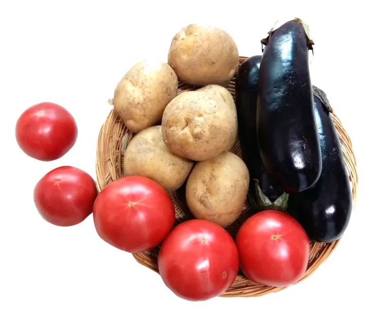 Basket of Fresh Vegetables