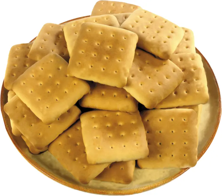 Crispy Square Crackers
