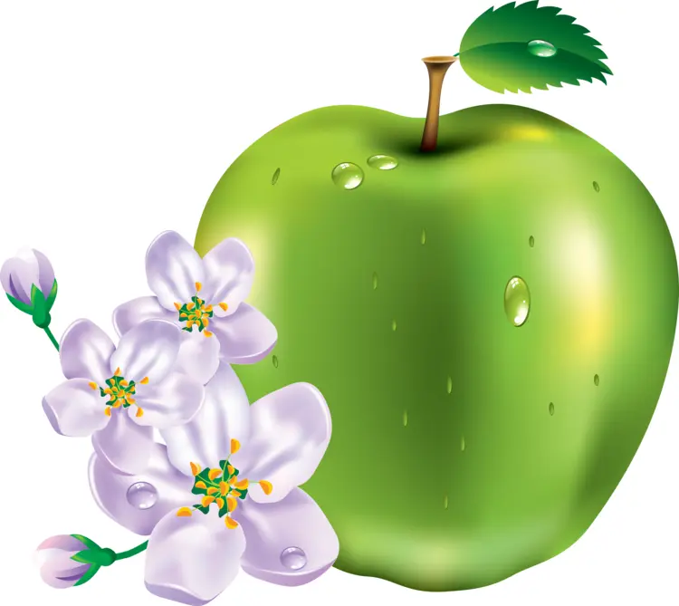 Green Apple with Flowers