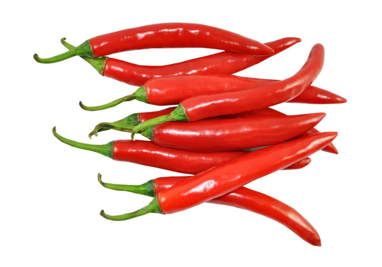 Pile of Red Chili Peppers