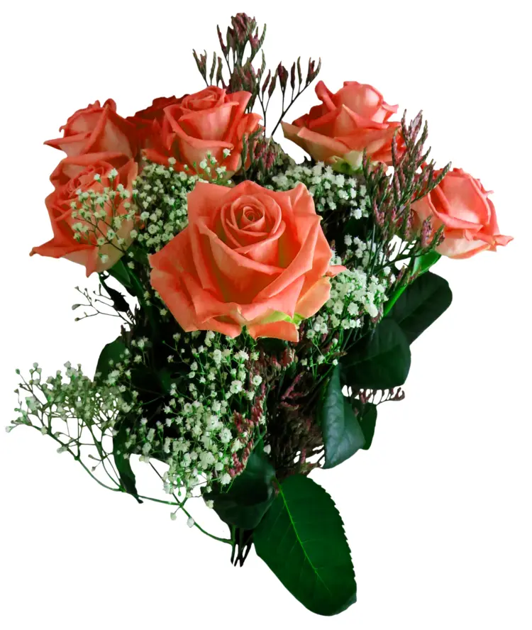 Bouquet of Orange Roses with Baby's Breath
