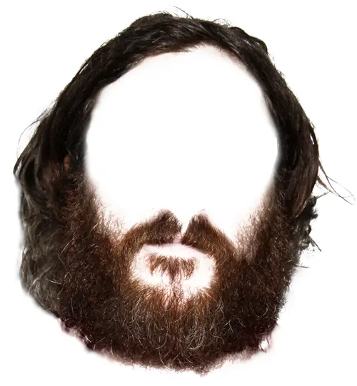 Brown Beard and Hair Disguise