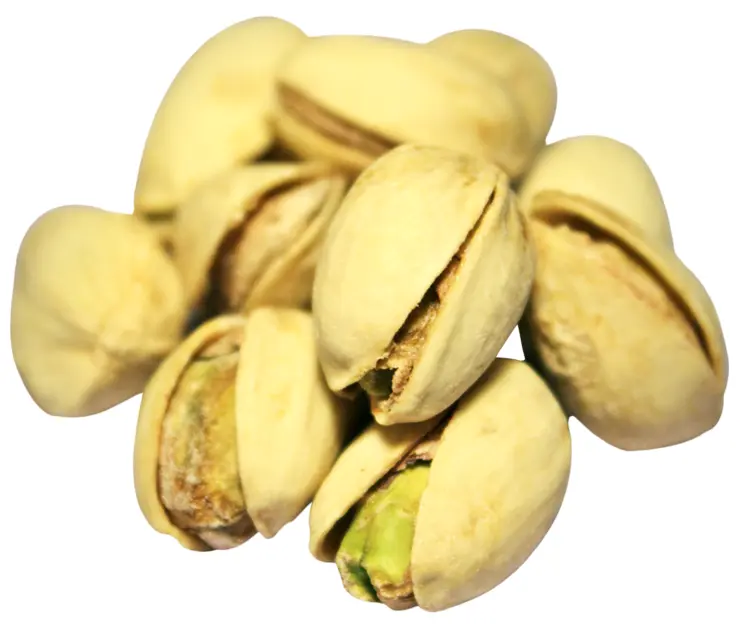Fresh Pistachios in Shell