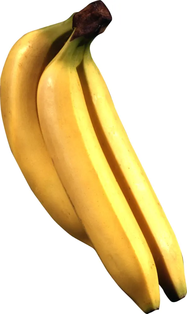 Bunch of Yellow Bananas