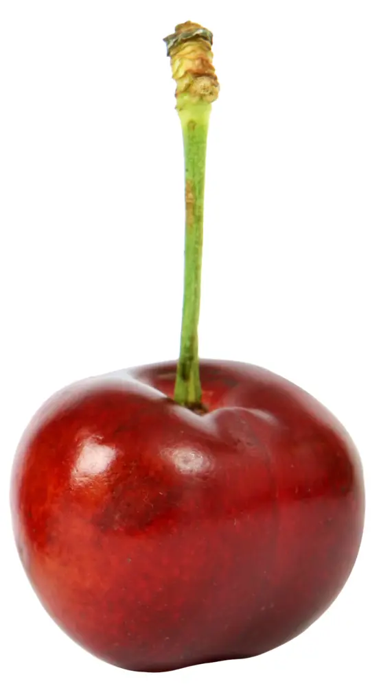 Single Fresh Red Cherry