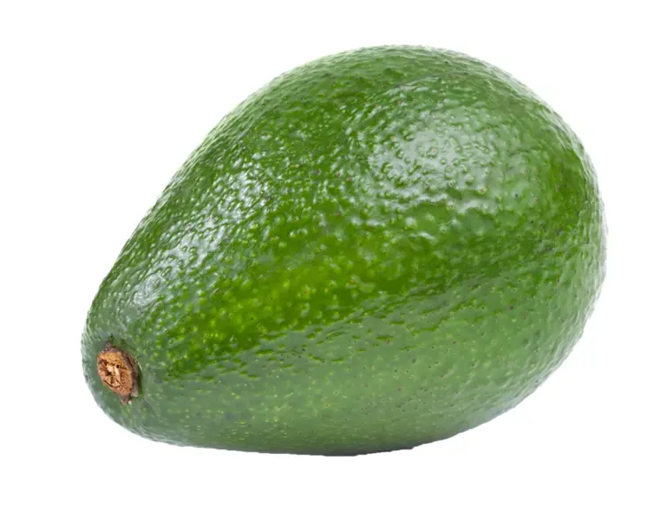 Fresh Green Avocado