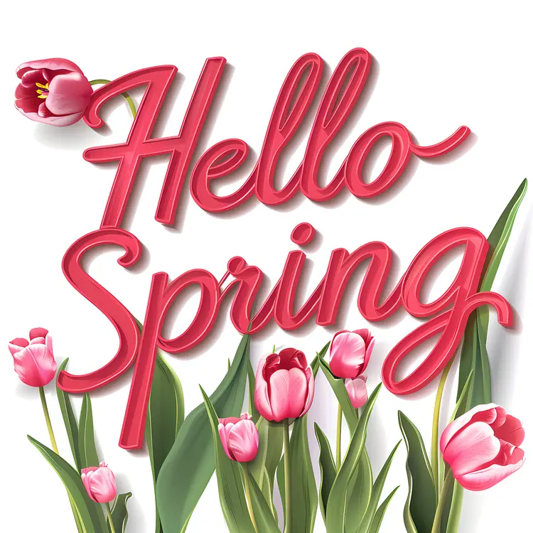 Hello Spring with Pink Tulips