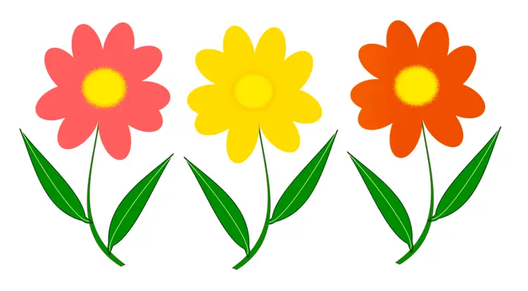 Three Colorful Flowers Illustration