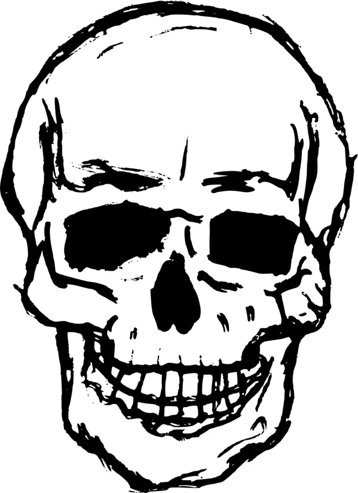 Detailed Black Skull