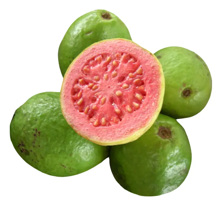 Fresh Guava with a Cut Showing Pink Flesh