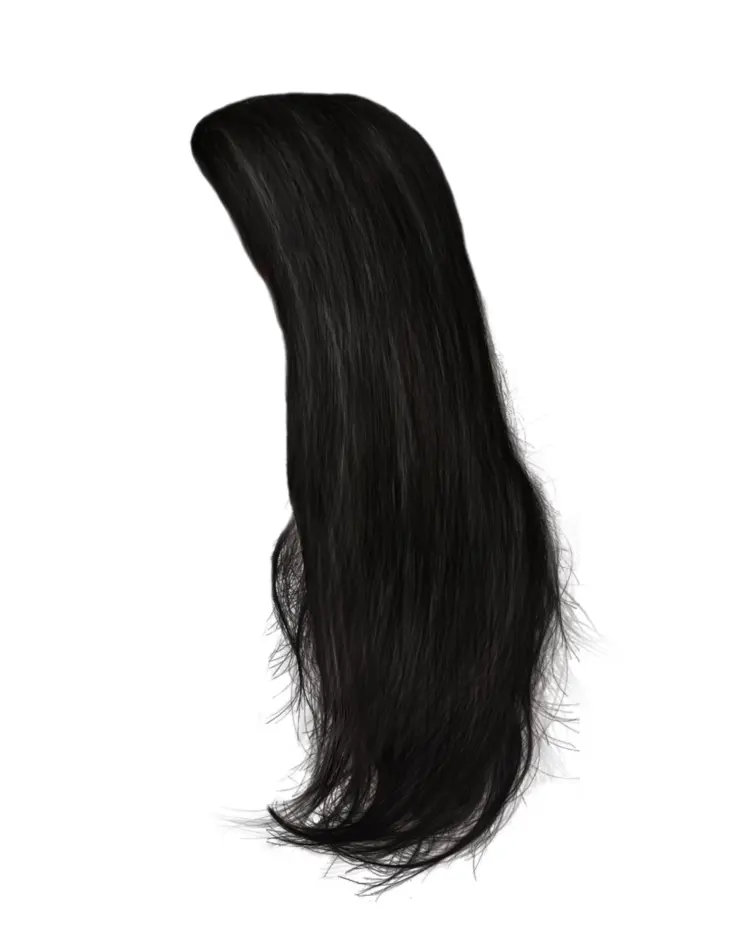 Long Black Hair Wig