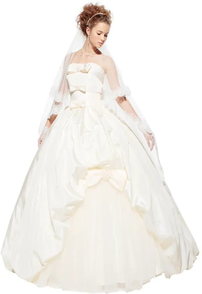 Bride in Luxurious Wedding Dress