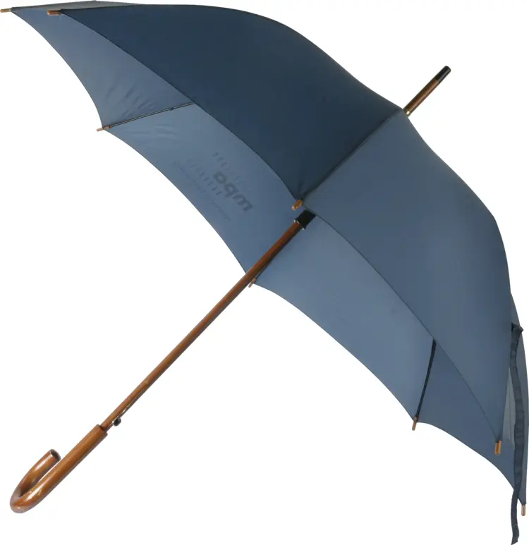 Blue Umbrella with Wooden Handle