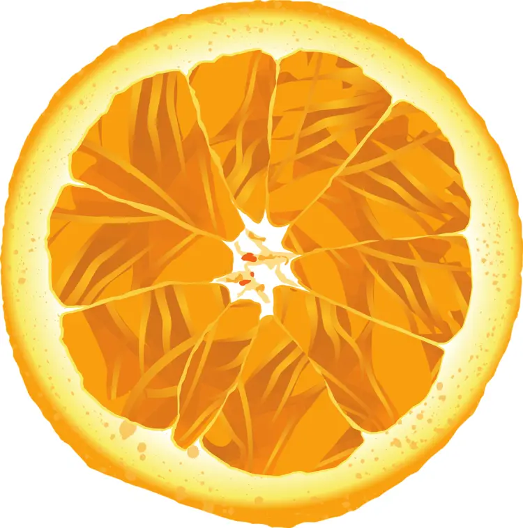 Orange Slice