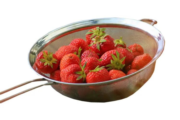 Fresh Red Strawberries in Colander