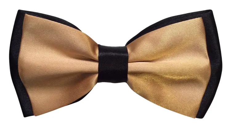 Elegant Gold Bow Tie for Formal Events