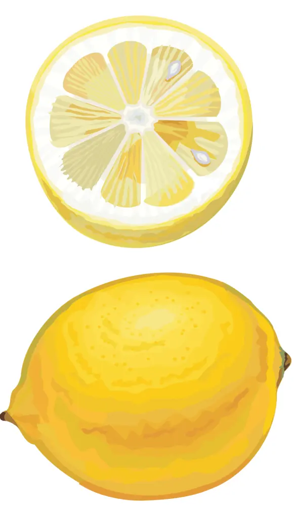 Yellow Lemon and Half Slice Illustration
