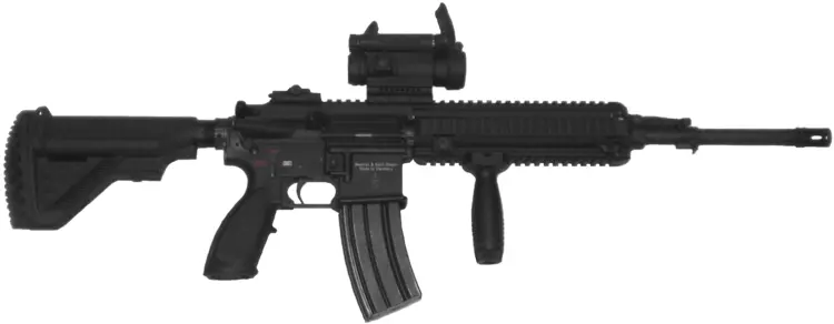 Black Rifle with Tactical Design