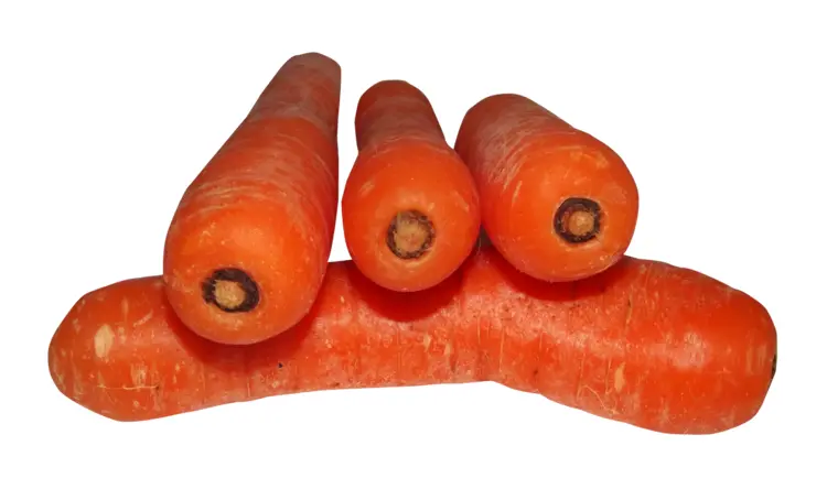 Fresh Orange Carrots