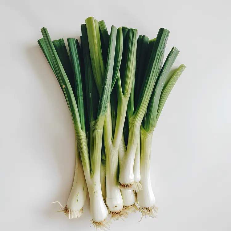 Fresh Green Onions with Roots