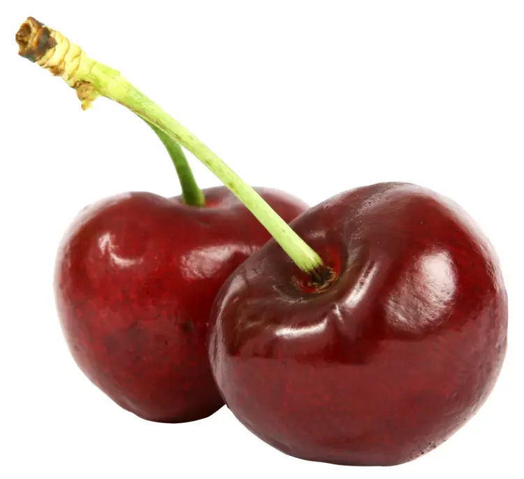 Pair of Fresh Red Cherries