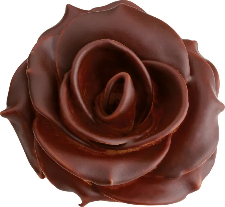 Beautiful Chocolate Rose