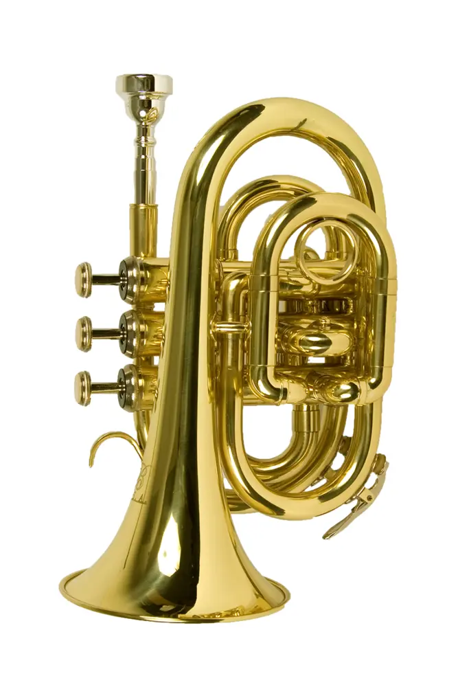Shiny Golden Cornet for Brass Band