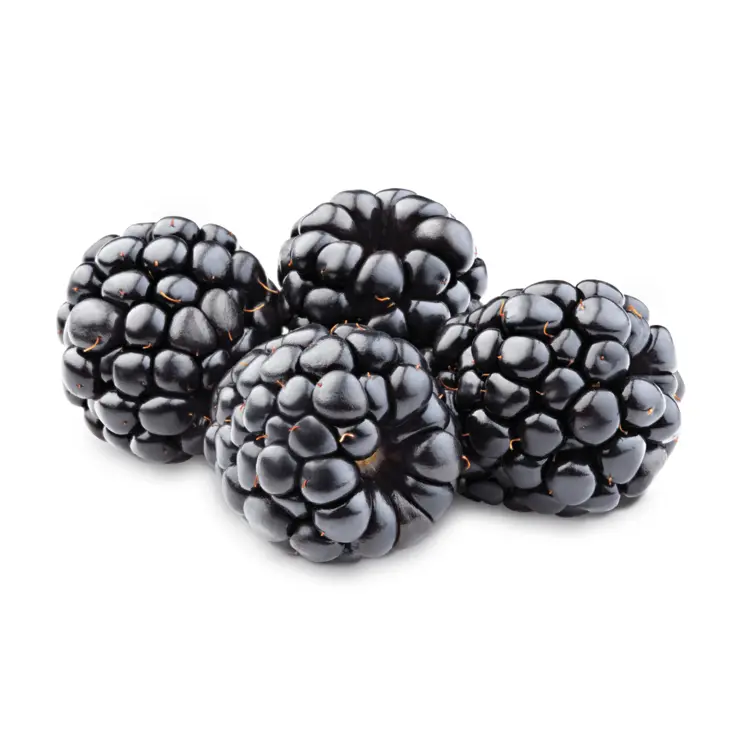 Cluster of Fresh Blackberries