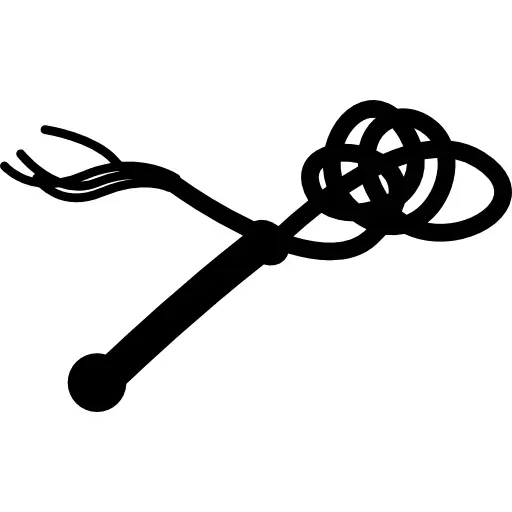 Black Silhouette of a Lasso