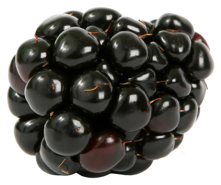 Cluster of Juicy Black Cherries
