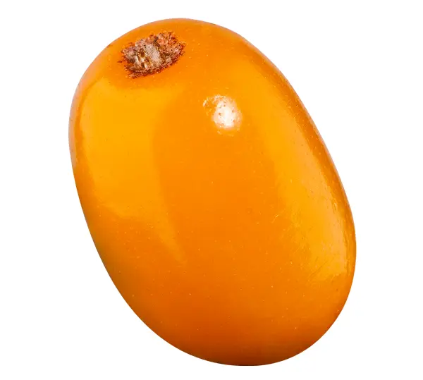 Orange Sea Buckthorn Berry