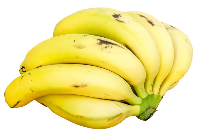 Bunch of Yellow Bananas