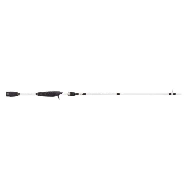 Fishing Rod with Reel