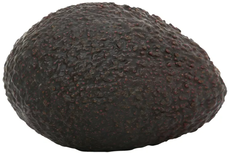 Whole Avocado
