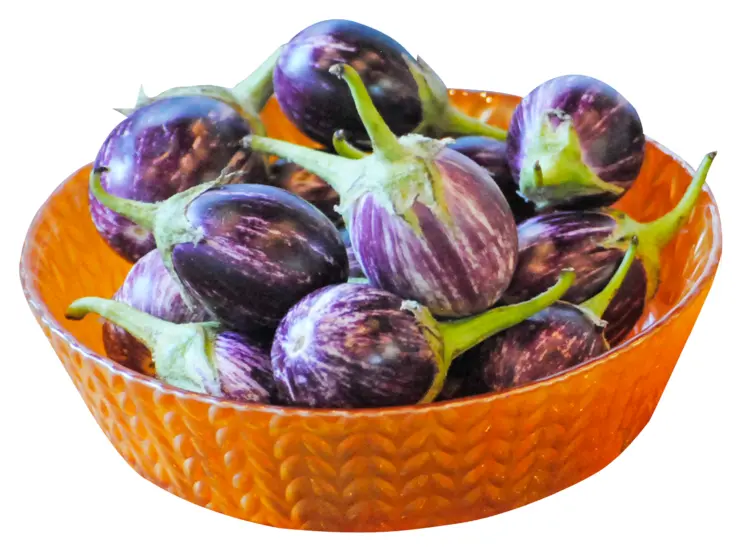 Purple Eggplants in Orange Bowl