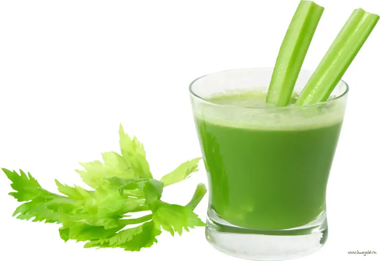 Fresh Green Celery Juice