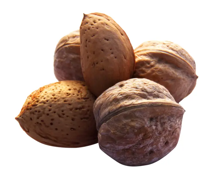 Assorted Nuts in Shells