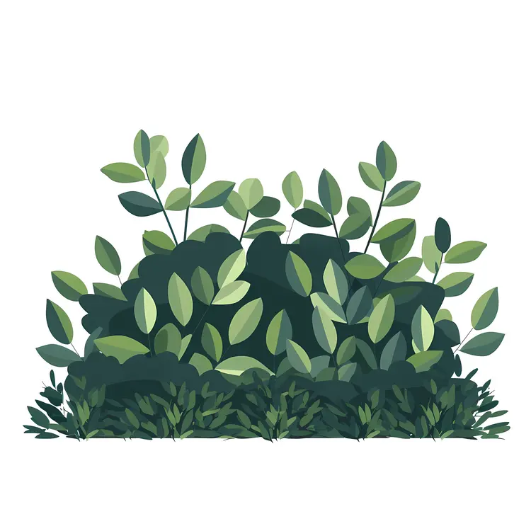Green Bush Illustration