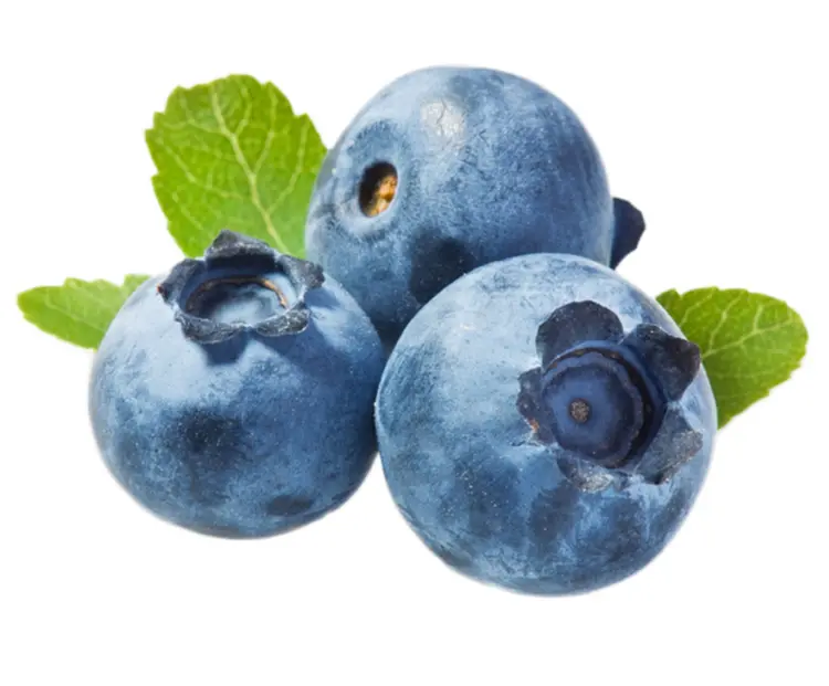 Close-up of Blueberries with Leaves