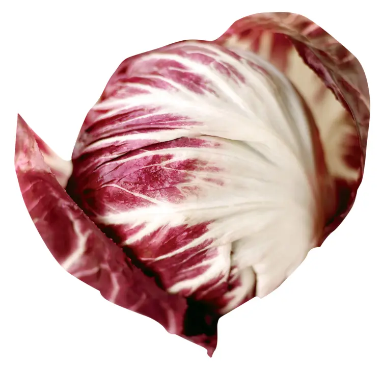 Red Leafy Radicchio