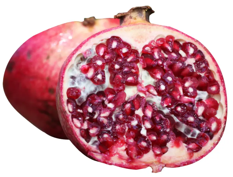 Pomegranate Half with Seeds