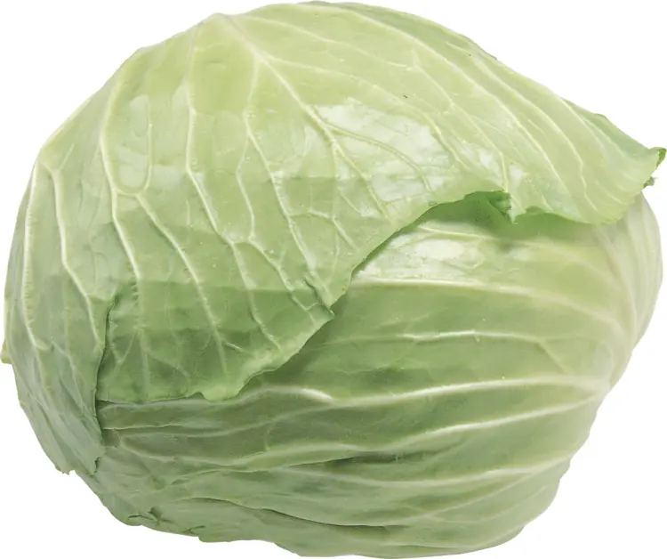 Whole Green Cabbage