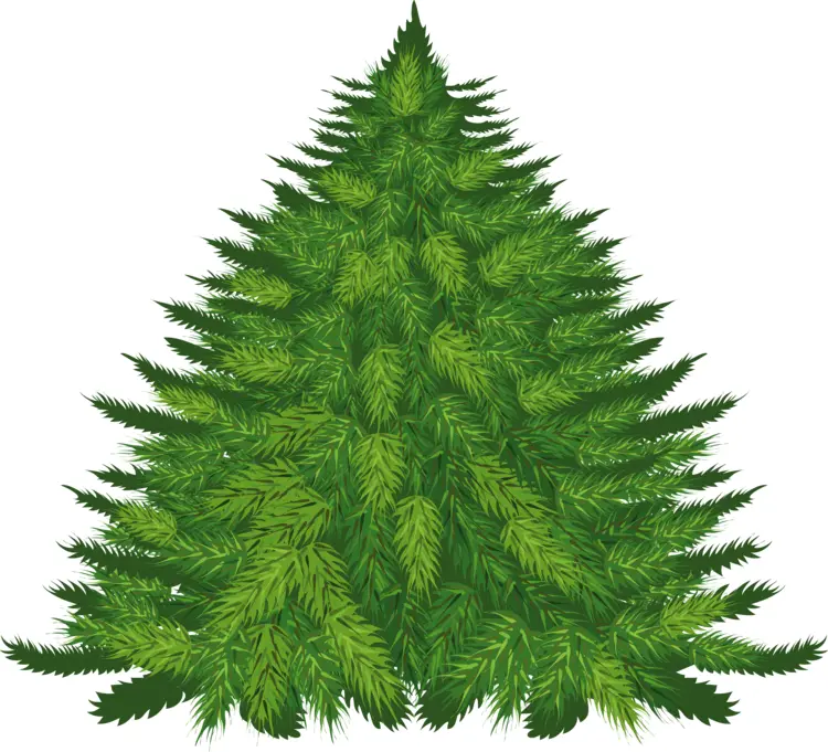 Green Christmas Tree Illustration