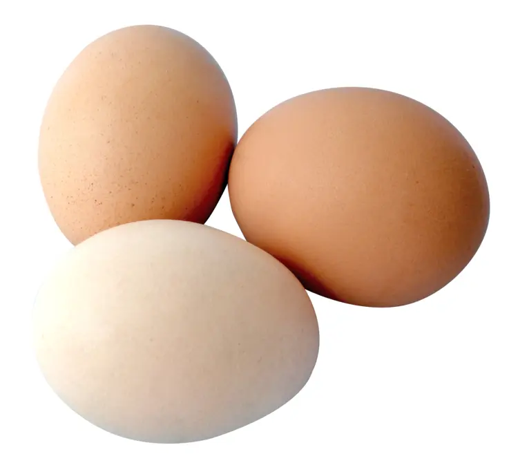 Brown and White Eggs
