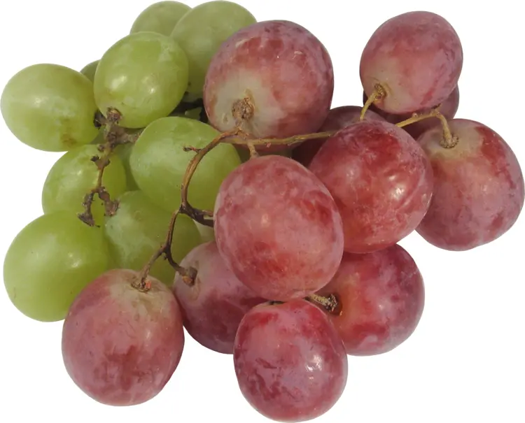 Fresh Green and Red Grapes