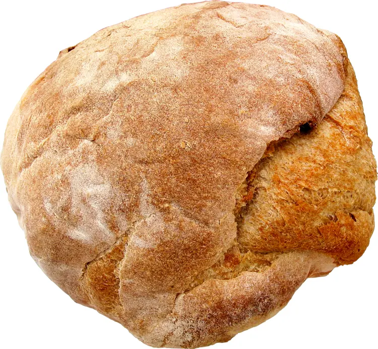Crusty Artisan Bread