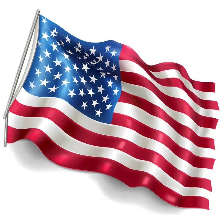 Waving USA Flag Illustration