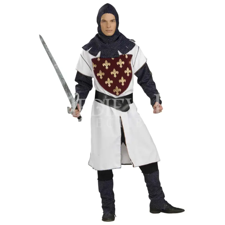 Medieval Knight in Armor with Sword