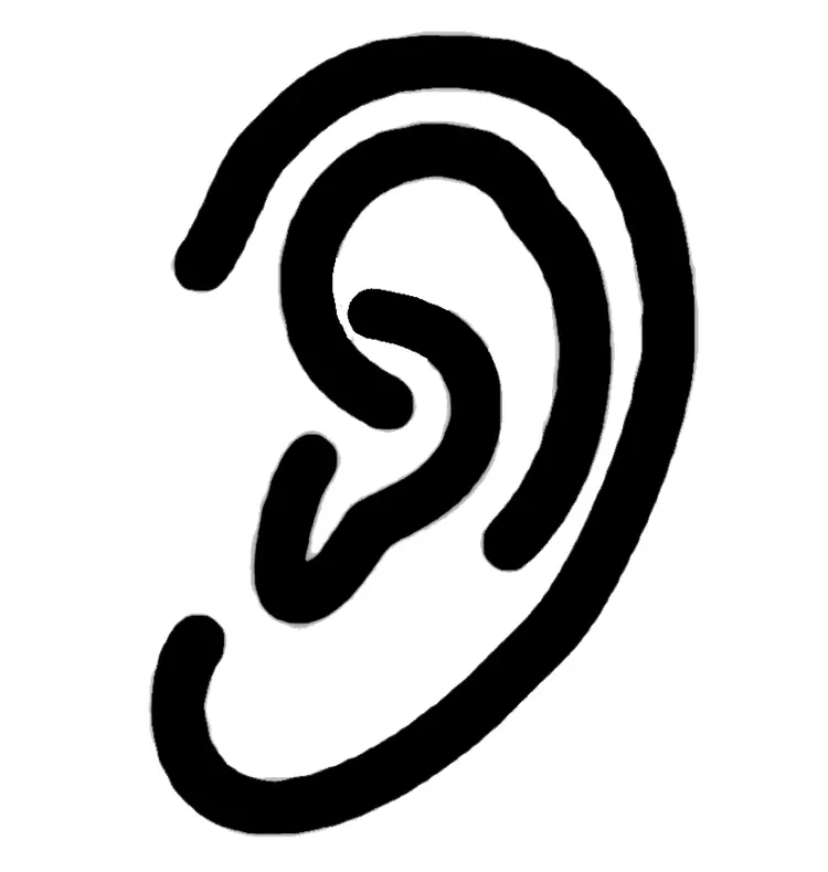 Black and White Ear Illustration